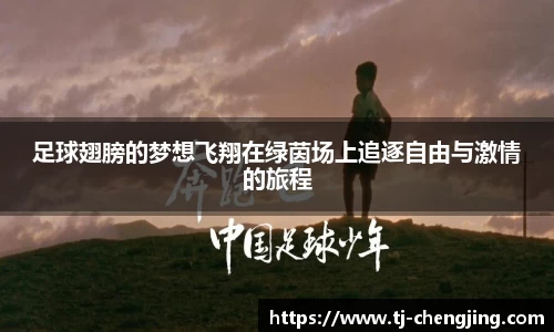 足球翅膀的梦想飞翔在绿茵场上追逐自由与激情的旅程